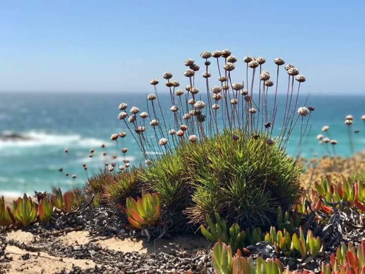 فندق Casa Sol كاراباتيرا المظهر الخارجي الصورة